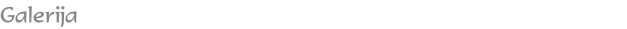 Galerija 
